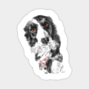 I Want Your Paw Border Collie Magnet