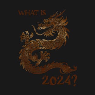 What is 2024? What is 2024 for? T-Shirt