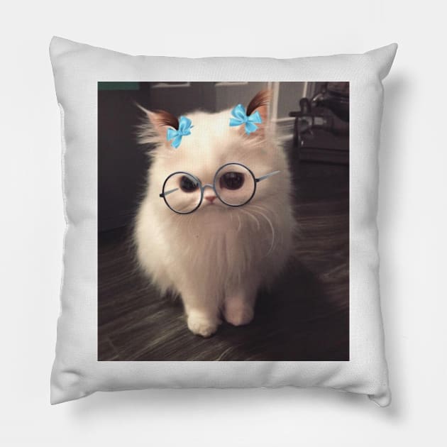 This snapchat filter on my cat Pillow by DankSpaghetti