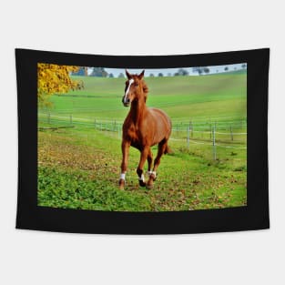 Running Horse Tapestry