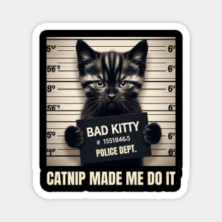 Bad Kitty Magnet