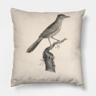 The Dead Catbird Natural history of vintage birds of North America Pillow