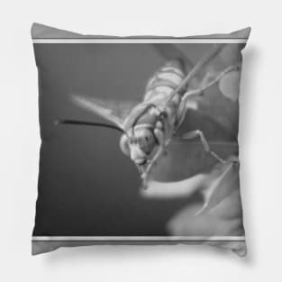 Closeup of a Cicada Hornet in Black and White Pillow