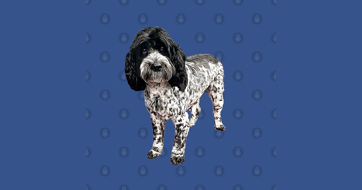 Cockapoo Cockerpoo Spoodle Blue Roan - Doodle - T-Shirt | TeePublic