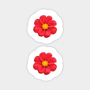 red flowers Magnet