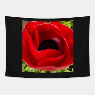 The Peaceful Red Christmas Poppy Tapestry