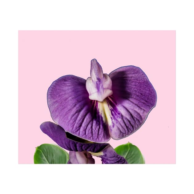 Tropical purple orchid by RoseAesthetic