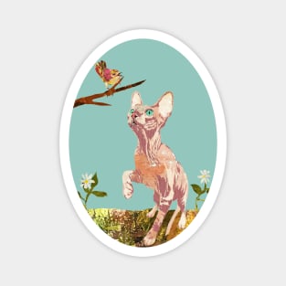 Curious Little Hairless Sphynx Kitten Magnet