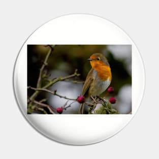 Robin Redbreast Pin