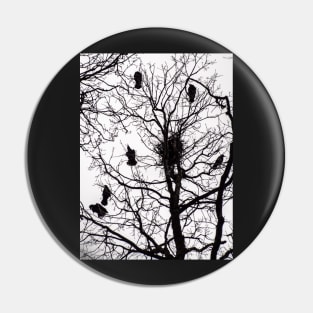 Crows Pin