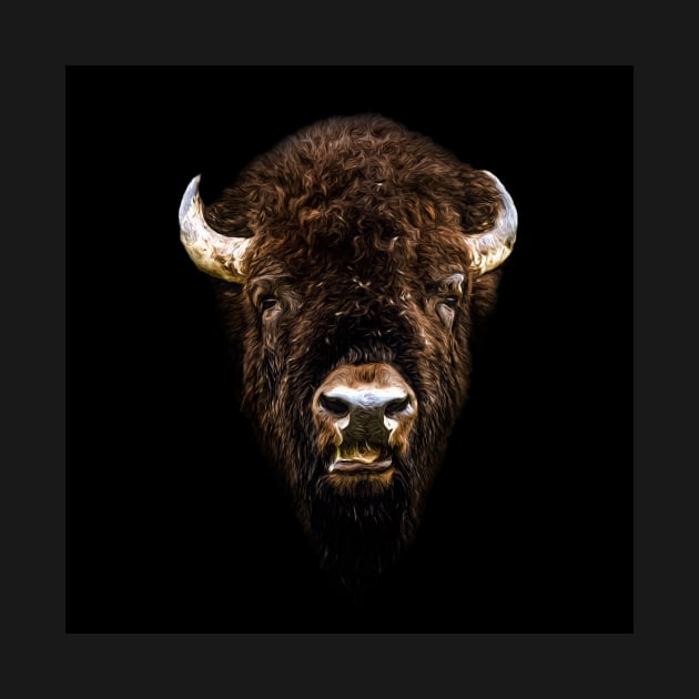 Bison head by Guardi