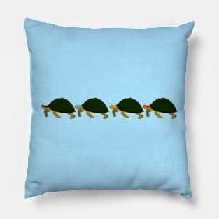 Martial Arts Turtles Pillow