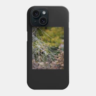 A wet spiderweb Phone Case