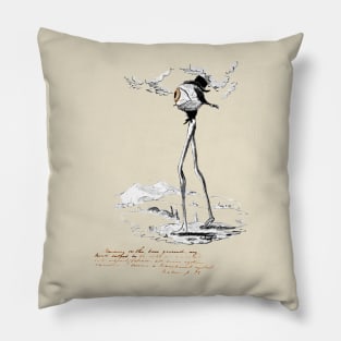 The Transparent Eyeball - Ralph Waldo Emerson Pillow