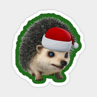 Cute Christmas Opossum Or Hedgehog Wearing Santa Costume Magnet