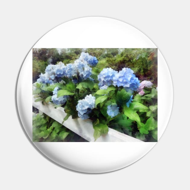 Hydrangea - Blue Hydrangea on White Fence Pin by SusanSavad