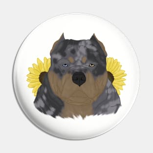 Merle Tan American Bully with Sunflowers Pin