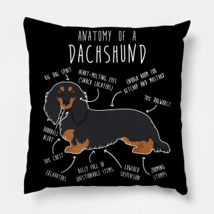 Black and Tan Longhaired Dachshund Dog Anatomy Pillow