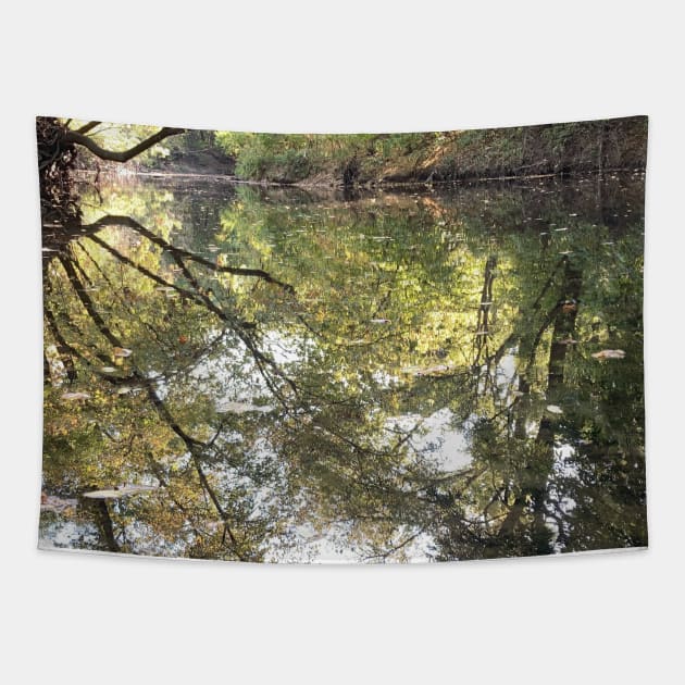Beautiful Natural Fall Foliage Reflections of Nature on Water at Indian Creek Tapestry by Zen Goat 