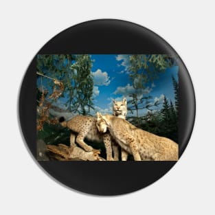 Natural environment diorama - two leopards Pin