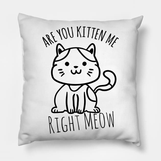 Are You Kitten Me Right Meow Pillow by Sunil Belidon