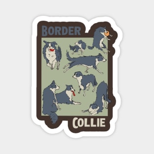 Border Collie Magnet