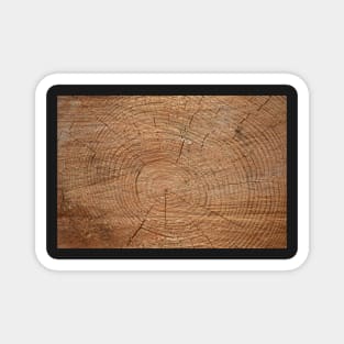 Tree Rings Magnet