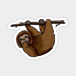 Sloth Magnet