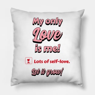 Checklist to Celebrate Self-Love - My Only Love Is Me Pillow