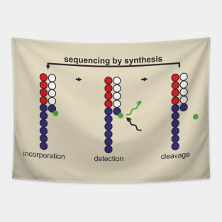 sequencing by synthesis Tapestry