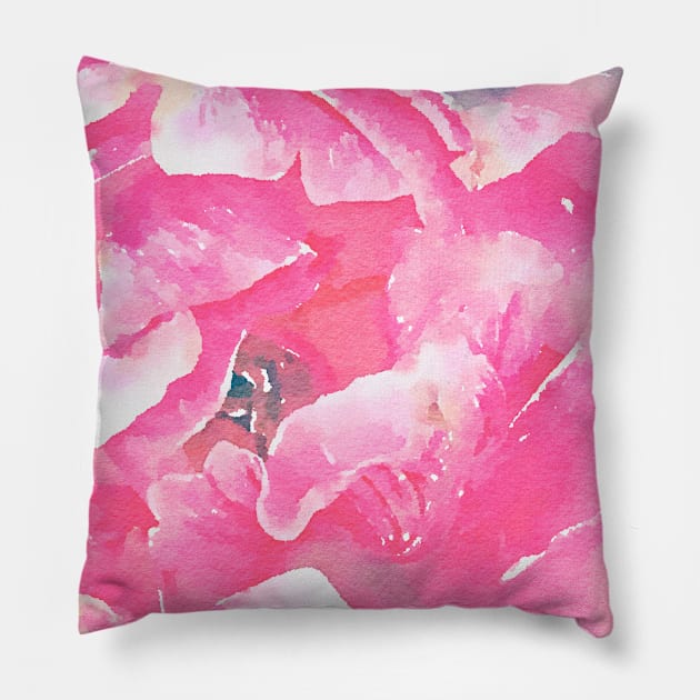 Pink Tulip close up Pillow by Dillyzip1202