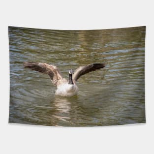 Canada goose with stretched wings Tapestry