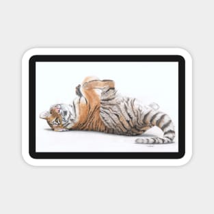 Tiger Feet Magnet