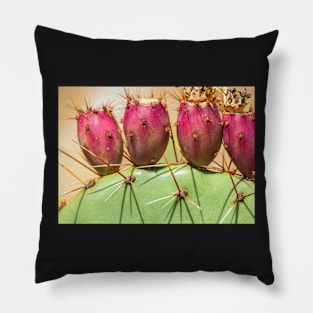 Prickly Pears Pillow