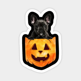 Black French Bulldog Dog In Pumpkin Pocket Halloween Magnet