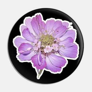 Purple Flower, Beautiful Flowers Pin