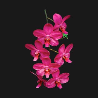 Orchids - Cascade Magenta Orchids T-Shirt