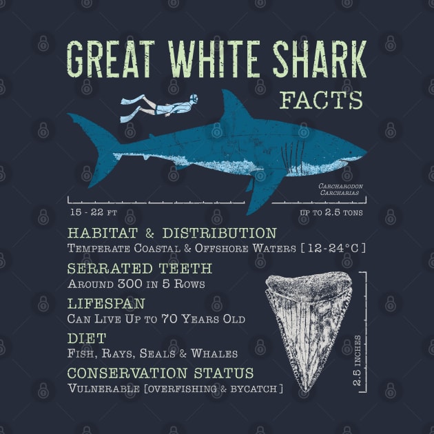 Great White Shark Facts by IncognitoMode