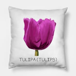 Purple Tulip Genus Print Pillow