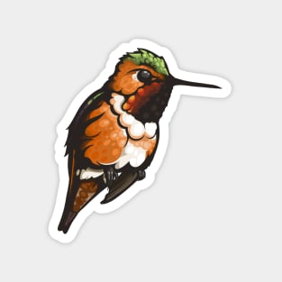 Rufous Hummingbird Magnet