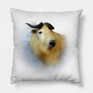 Takin Pillow