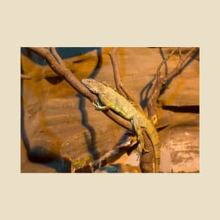 Green iguana lying on the branch T-Shirt