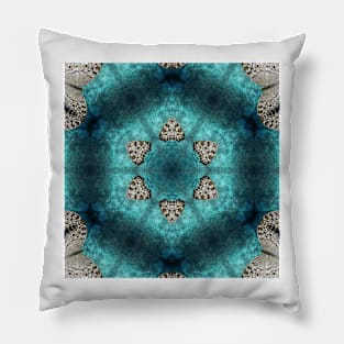 Butterfly Art - Kaleidoscope Pillow