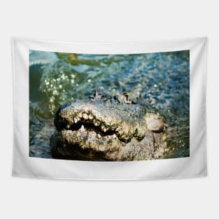 Gator Jaws Tapestry