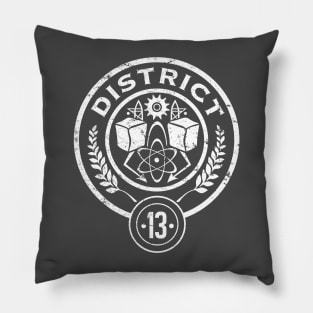 District 13 Pillow