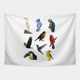 Nine Bird Illustration Pack Tapestry