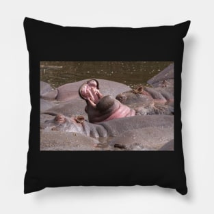 Wallowing Hippos (Serengeti) #3 Pillow