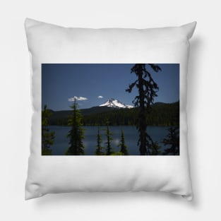 850_6047 Pillow