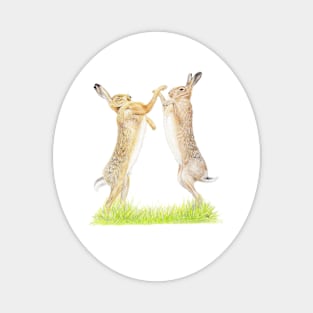 Boxing Hares Drawing Magnet