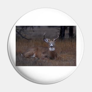 Mellow Buck - White-tailed Deer Pin